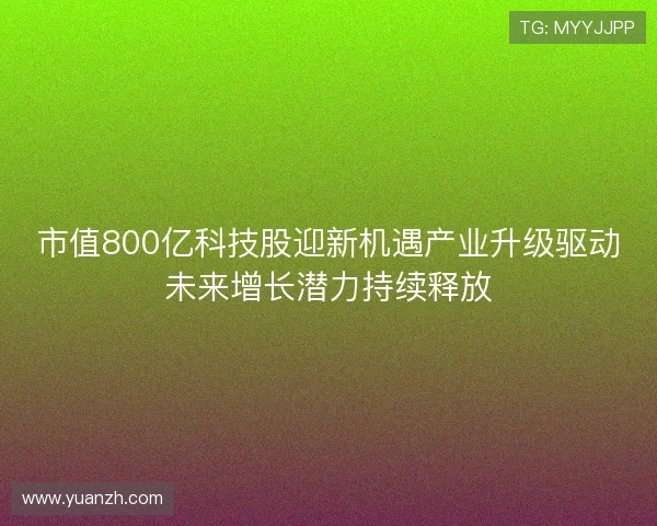 市值800亿科技股迎新机遇产业升级驱动未来增长潜力持续释放 市值800亿科技股迎新机遇产业升级驱动未来增长潜力持续释放